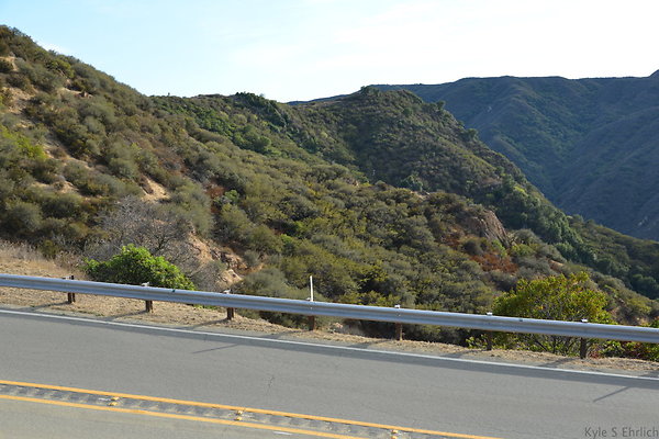 DSC 8530