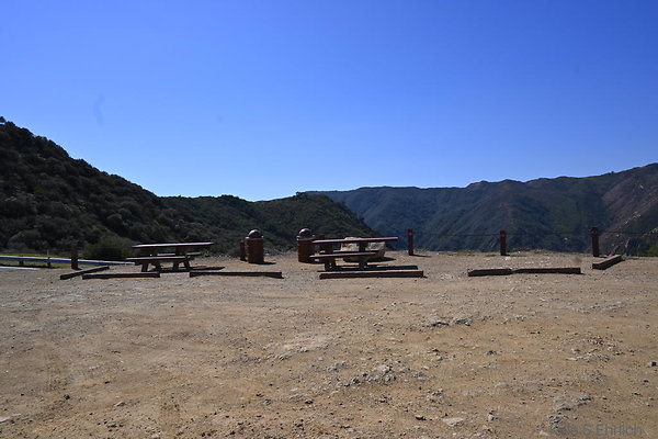 DSC 7243