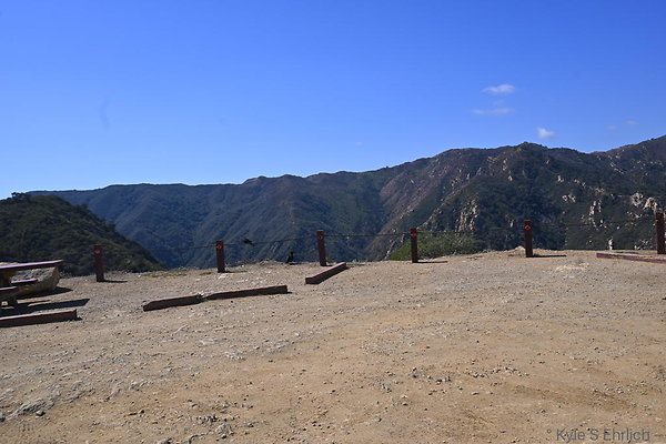 DSC 7288