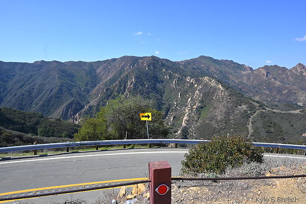 DSC 7294