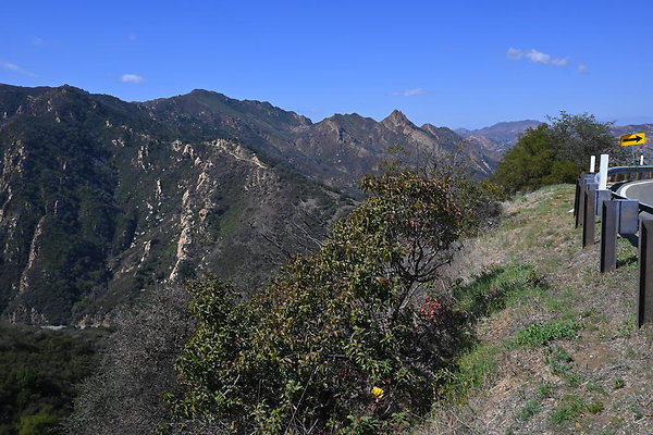 DSC 7354