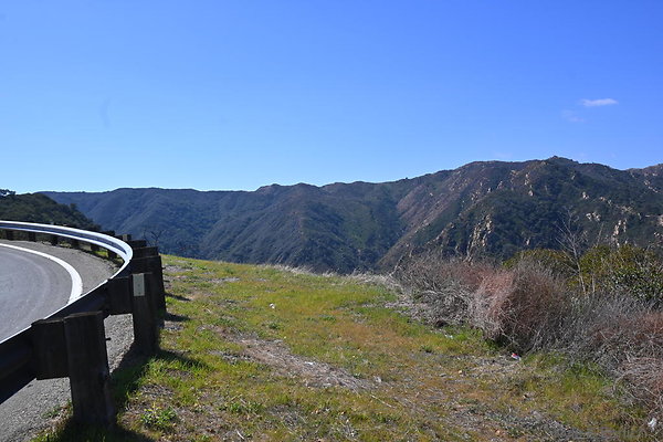 DSC 7410