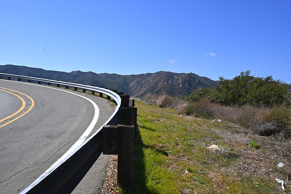 DSC 7395
