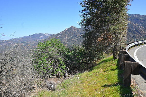 DSC 7387