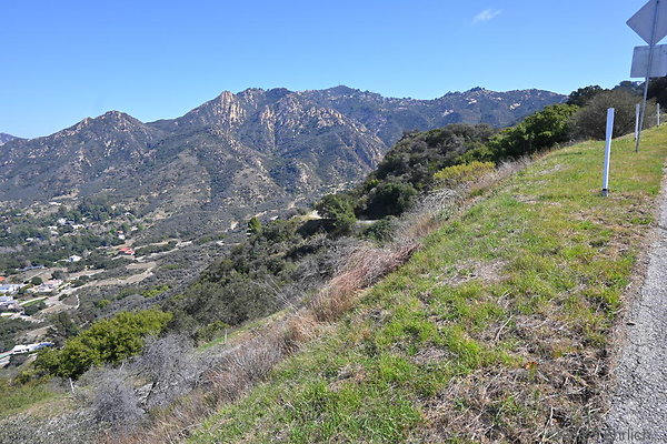 DSC 7498