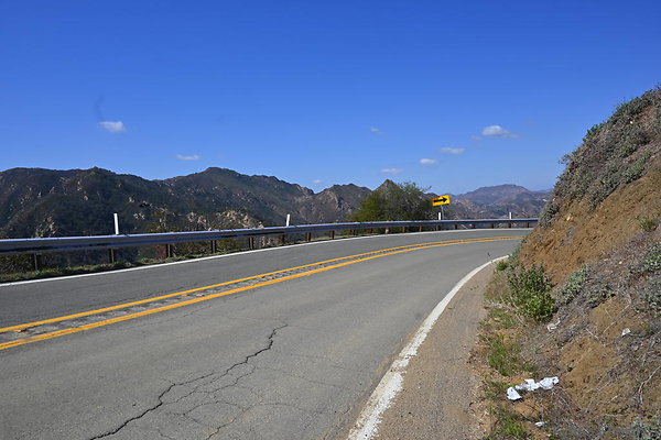 DSC 7461