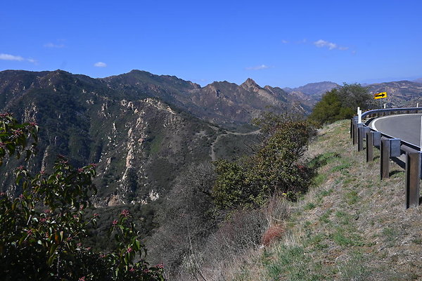 DSC 7348