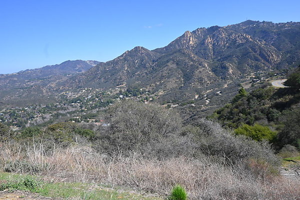 DSC 9003
