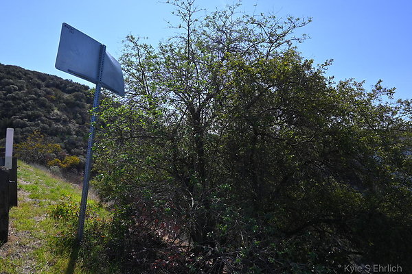 DSC 7434