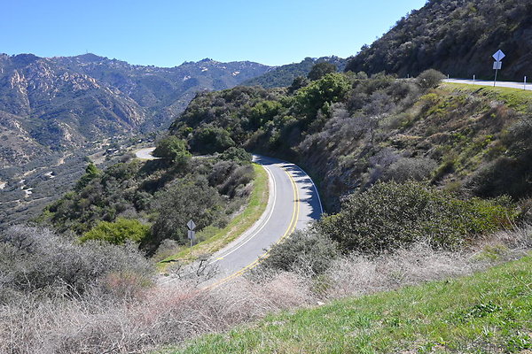 DSC 9001