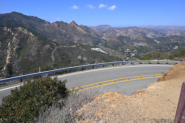DSC 9008