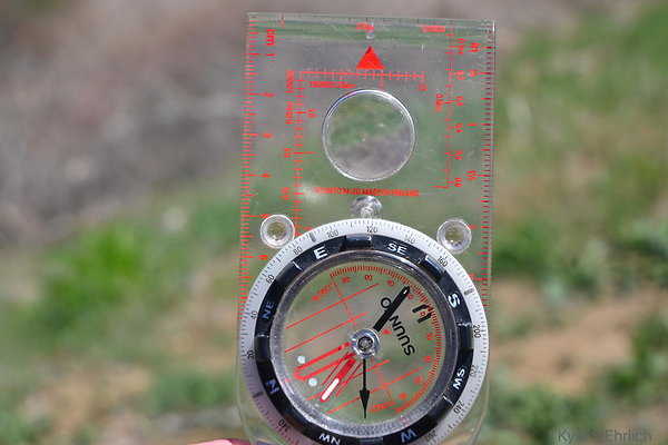 DSC 9000