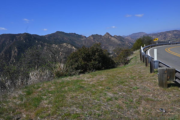 DSC 7330