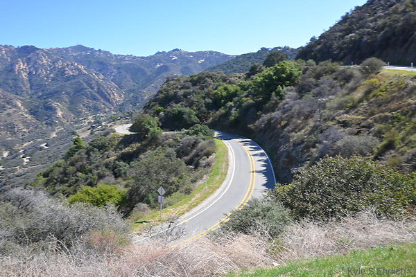 DSC 9004