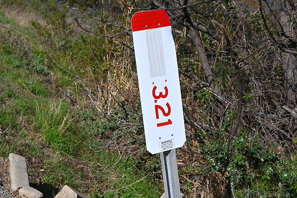 DSC 9514a