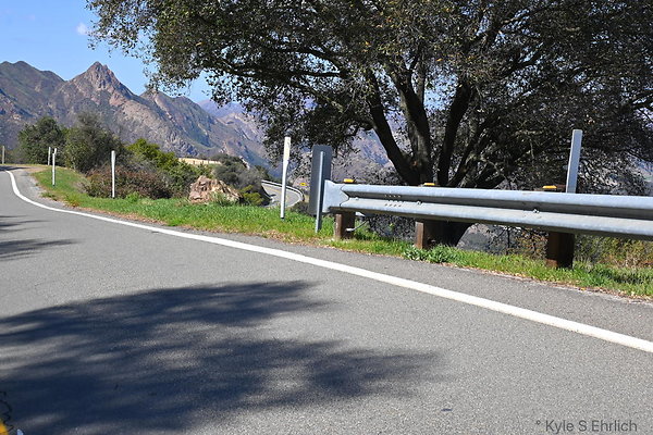 DSC 7564