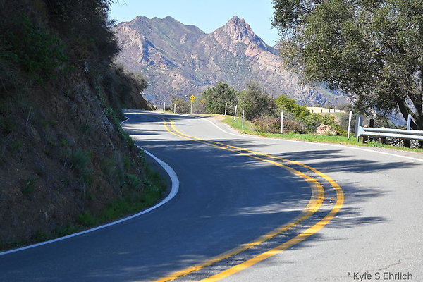 DSC 7517