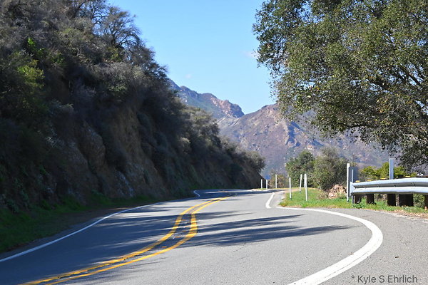 DSC 7530