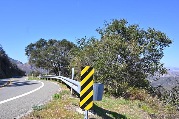 DSC 7533