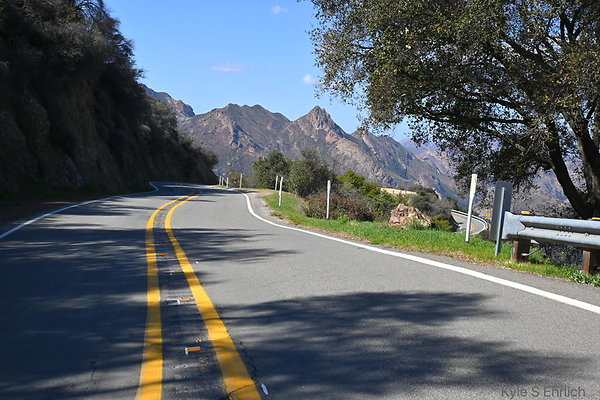 DSC 7559