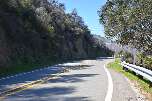 DSC 7551