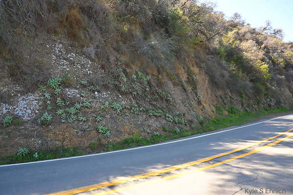 DSC 7574