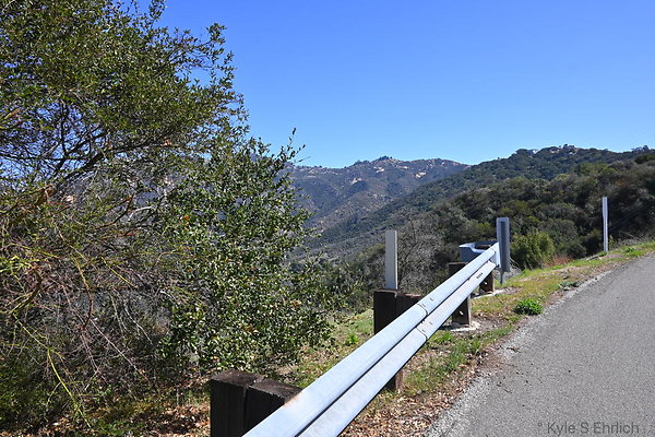 DSC 7571