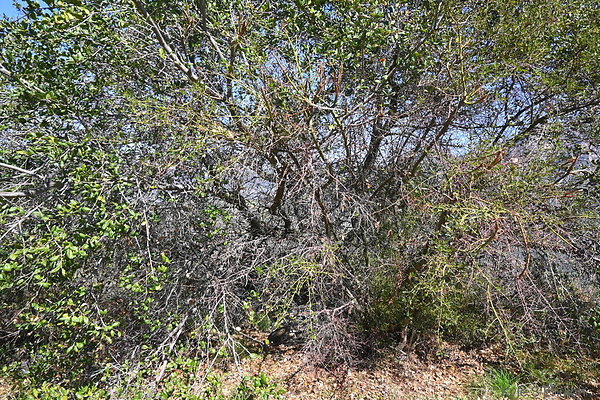 DSC 7570