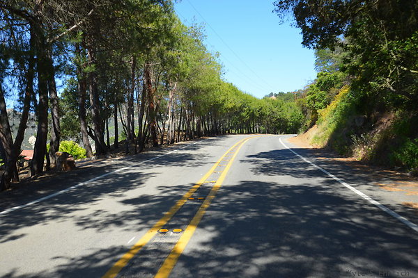 DSC 5010