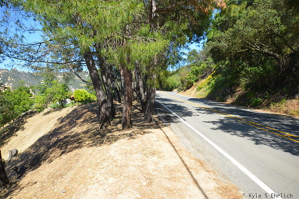 DSC 5187