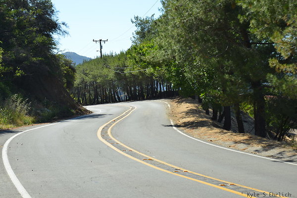 DSC 5074