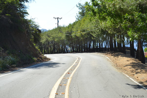 DSC 5091