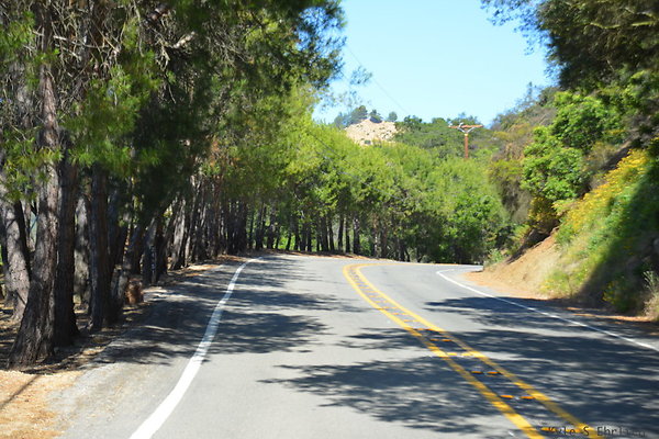 DSC 5165