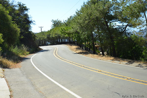 DSC 5078