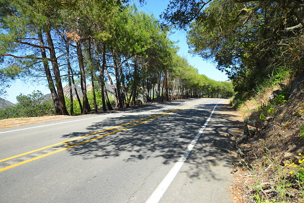 DSC 5170