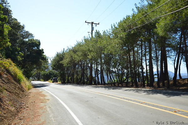 DSC 5116