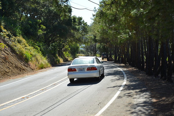 DSC 5110