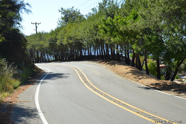 DSC 5088