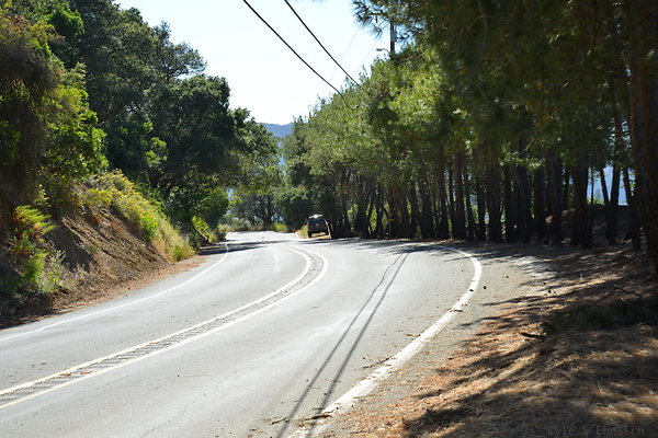 DSC 5101