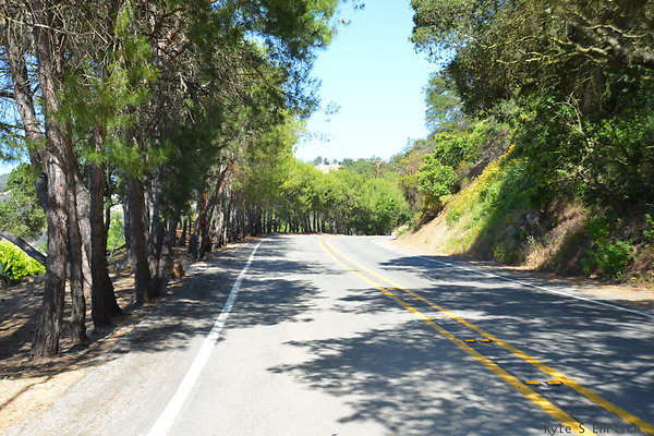 DSC 5183