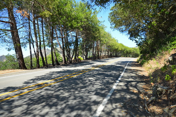 DSC 5176