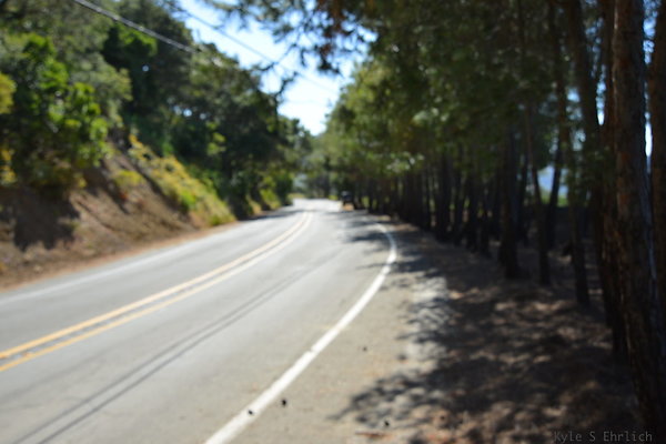 DSC 5106