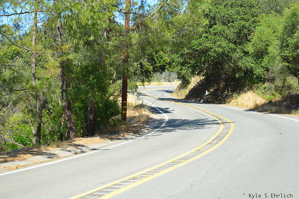DSC 5056