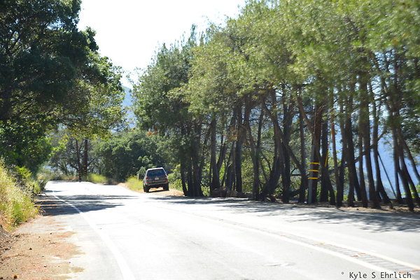 DSC 5115