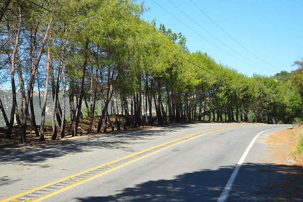 DSC 5020