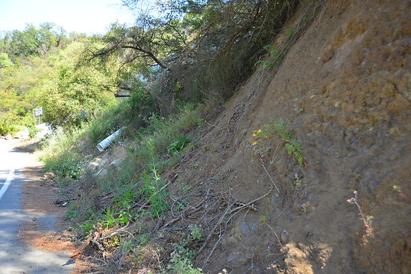 DSC 5054