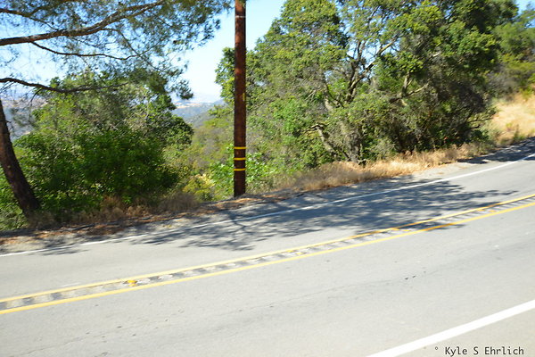 DSC 5082