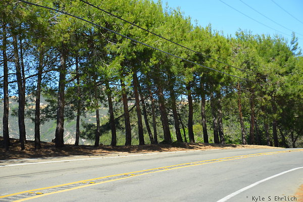 DSC 5042