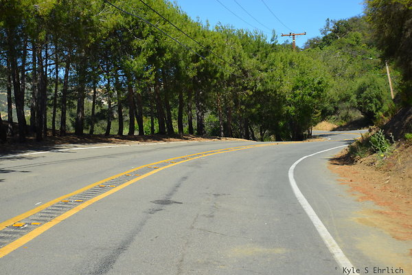 DSC 5038