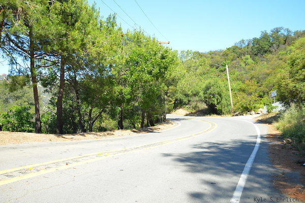 DSC 5049